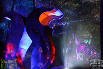 Suwannee Hulaween 2015 | Live Oak FL