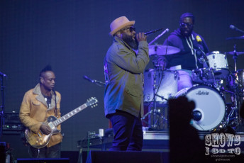 The Roots