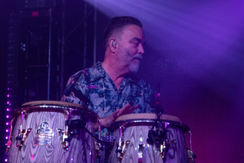 Thievery Corporation