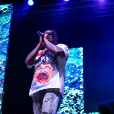 Wale Live Concert Photos 2024
