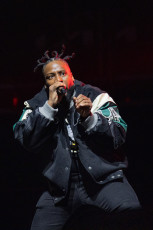Wu-Tang Clan Live Concert Photos 2026