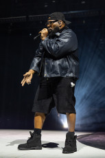 Wu-Tang Clan Live Concert Photos 2026