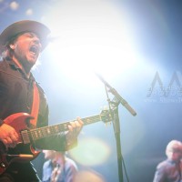 wilco live review and concert photos