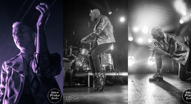 neon trees live review and concert photos
