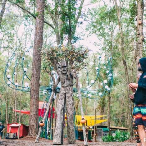 hulaween 2018 tree people photo