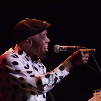 Buddy Guy Live Review