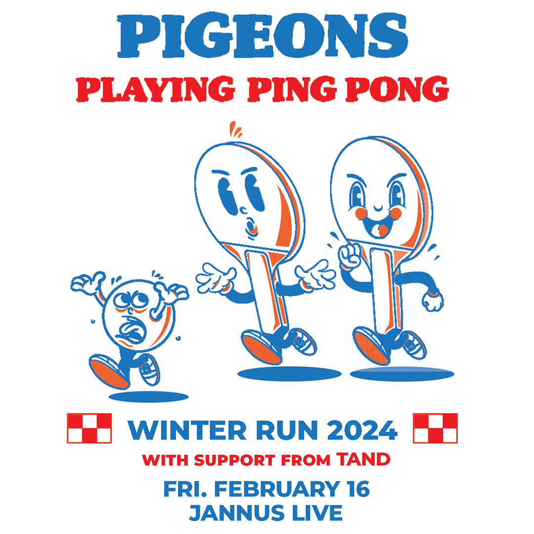 Pigeons Playing Ping Pong St Pete 2024