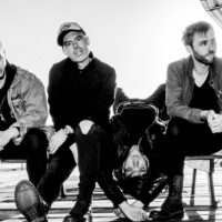 PET NEEDS Giveaway 2025