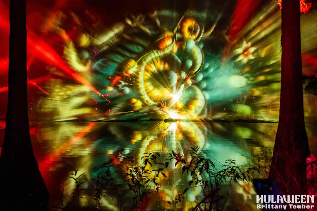 Lake Projection - Brittany Teuber - Hula 2025